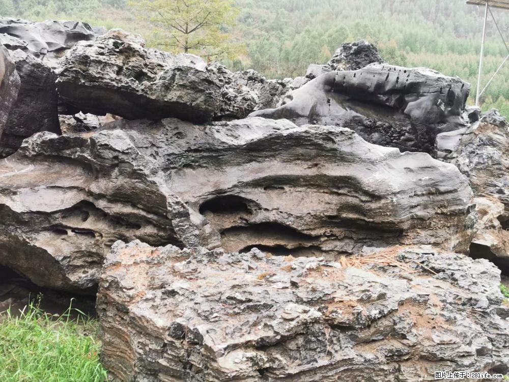 风景石、假山石大量有货,有需要的欢迎联系 - 新手上路 - 唐山生活社区 - 唐山28生活网 ts.28life.com