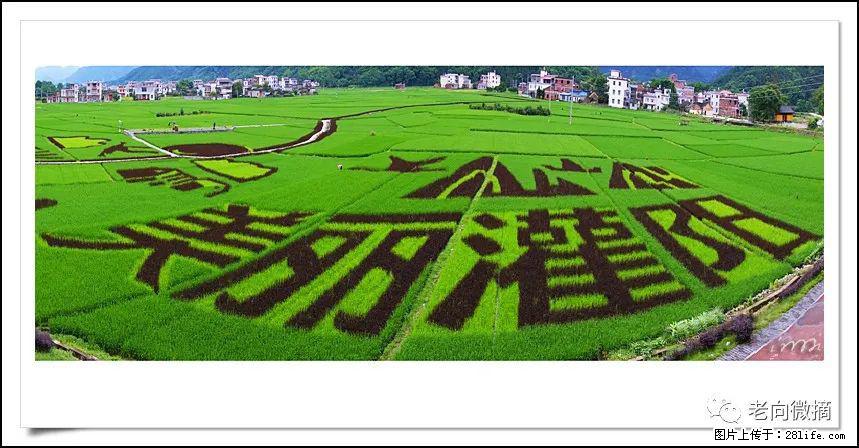 【春天,广西桂林灌阳县向您发出邀请!】开篇 - 游山玩水 - 唐山生活社区 - 唐山28生活网 ts.28life.com