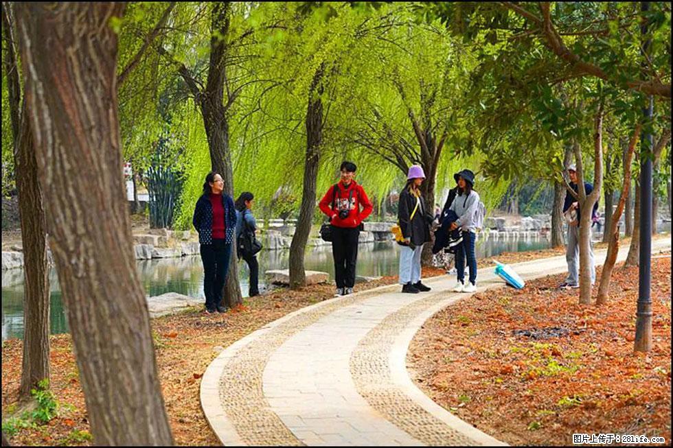 【春天,广西桂林灌阳县向您发出邀请!】江口老街又逢春 - 游山玩水 - 唐山生活社区 - 唐山28生活网 ts.28life.com