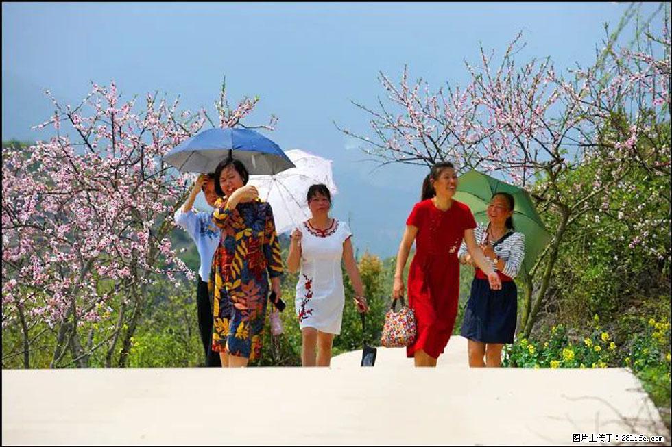 【春天，广西桂林灌阳县向您发出邀请！】望月岭上桃花开 - 游山玩水 - 唐山生活社区 - 唐山28生活网 ts.28life.com