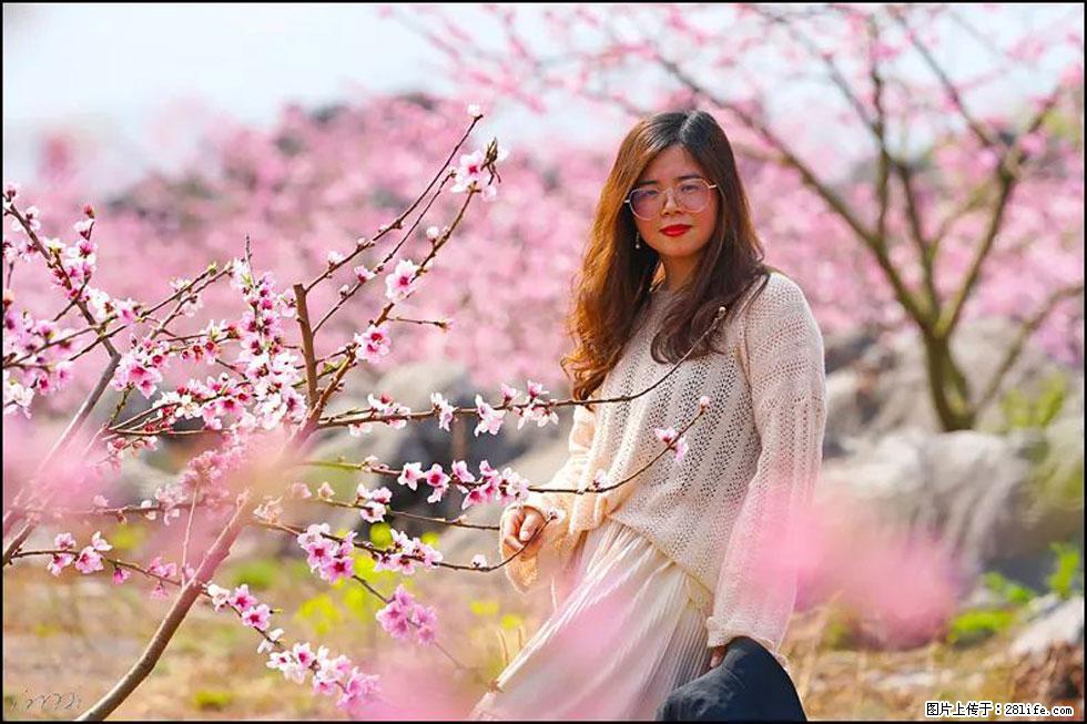 【春天，广西桂林灌阳县向您发出邀请！】望月岭上桃花开 - 游山玩水 - 唐山生活社区 - 唐山28生活网 ts.28life.com