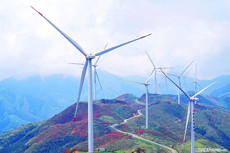 【春天，广西桂林灌阳县向您发出邀请！】春木界上映山红 - 游山玩水 - 唐山生活社区 - 唐山28生活网 ts.28life.com