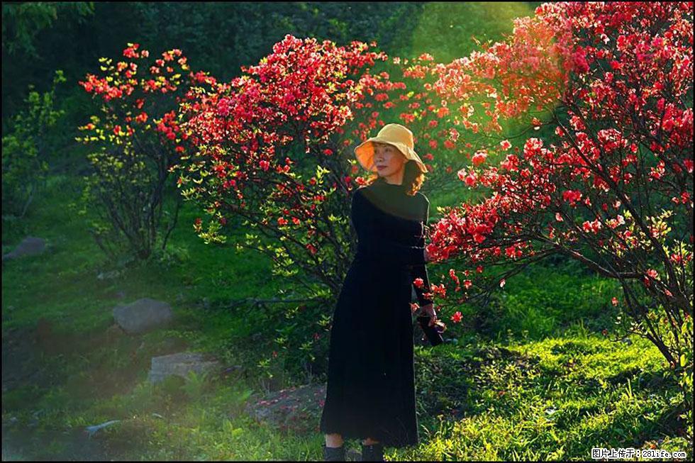 【春天，广西桂林灌阳县向您发出邀请！】春木界上映山红 - 游山玩水 - 唐山生活社区 - 唐山28生活网 ts.28life.com