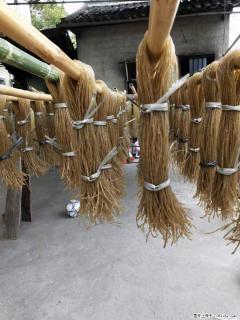 【灌阳正宗红薯粉】美女家里自己做的,干净卫生,假一赔十,价格合理,抢购电话:13737312895 - 唐山28生活网 ts.28life.com