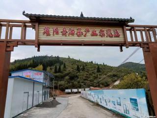 【灌阳县油茶产业示范区】一个有着充实的精神生活的人,对待身外之物自会有一种淡泊的态度 - 唐山28生活网 ts.28life.com