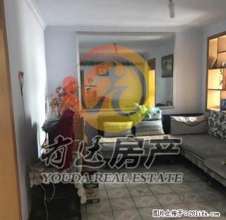新兴楼的房子,半年付,温馨小屋,拎包入住! - 唐山28生活网 ts.28life.com