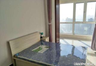 远洋城 花卉市场 正东大厦精装2室 家电齐全 你比房主先住 - 唐山28生活网 ts.28life.com
