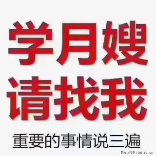 【招聘】月嫂，上海徐汇区 - 唐山28生活网 ts.28life.com
