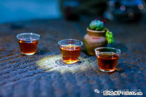 时间果百年古树2025年春红茶 - 购物交流 - 唐山生活社区 - 唐山28生活网 ts.28life.com