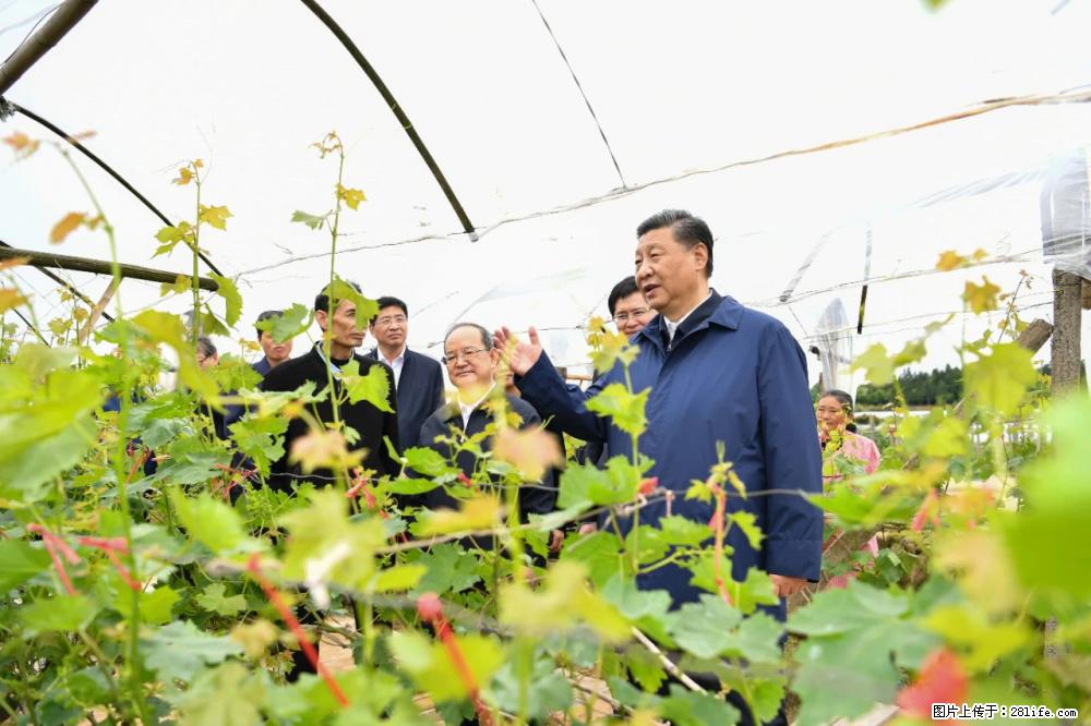 习近平赴广西考察调研 - 唐山生活资讯 - 唐山28生活网 ts.28life.com