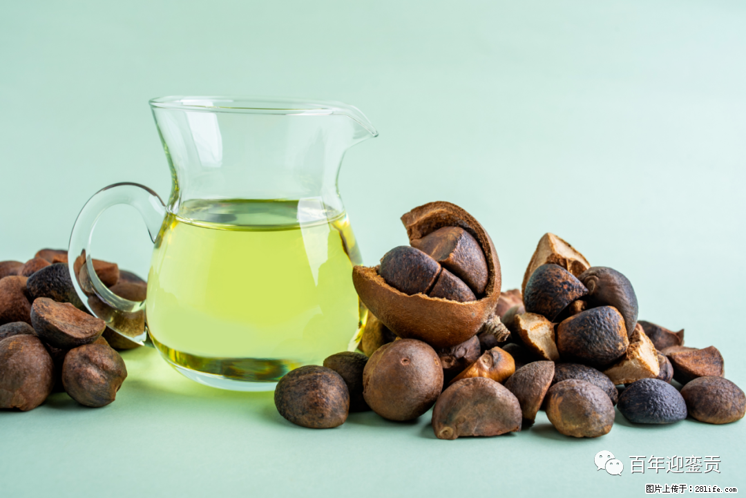 揭秘茶油的5大核心营养成分！被称为人体健康的“守护盾”！ - 唐山生活资讯 - 唐山28生活网 ts.28life.com