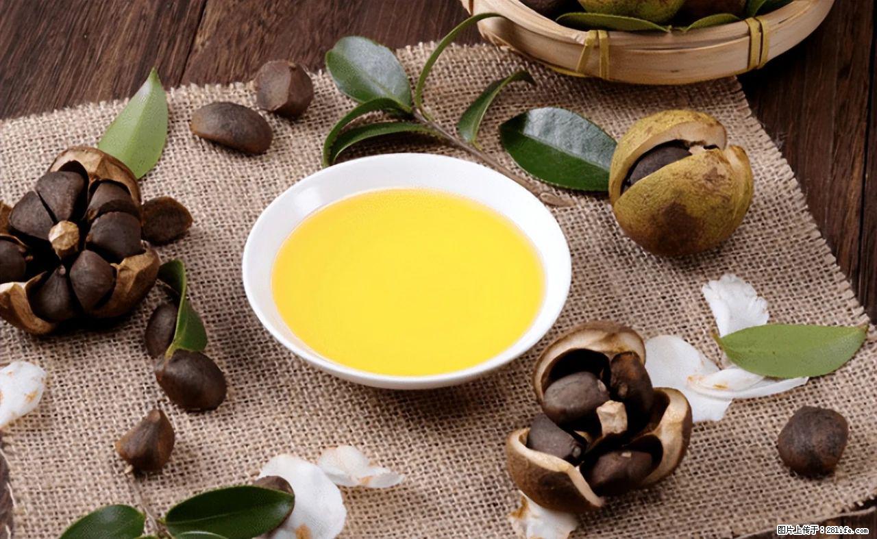 揭秘茶油的5大核心营养成分！被称为人体健康的“守护盾”！ - 唐山生活资讯 - 唐山28生活网 ts.28life.com