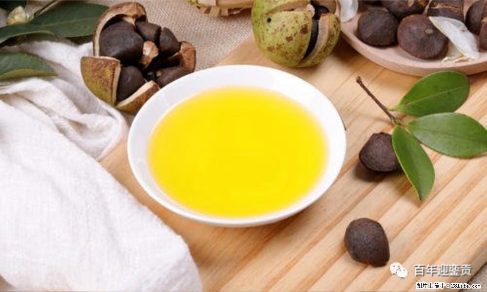 揭秘茶油的5大核心营养成分！被称为人体健康的“守护盾”！ - 唐山生活资讯 - 唐山28生活网 ts.28life.com