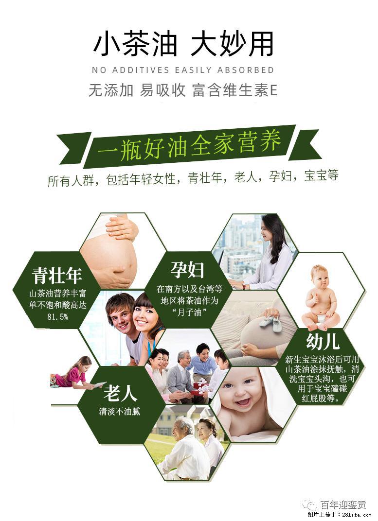 世界没有真相,只有认知,最好的食用油是中国的山茶油! - 唐山生活资讯 - 唐山28生活网 ts.28life.com