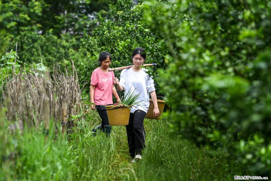 全网追的“扁担女孩”,找了一份暑假工,时薪12元 - 唐山生活资讯 - 唐山28生活网 ts.28life.com