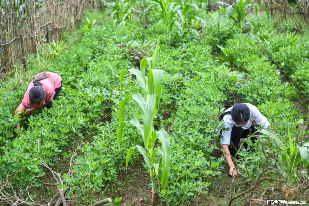 全网追的“扁担女孩”,找了一份暑假工,时薪12元 - 唐山生活资讯 - 唐山28生活网 ts.28life.com