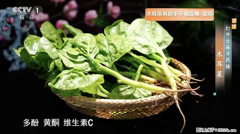 比牛奶补钙还厉害!凉血解毒、稳血糖...这菜冬天必吃,很多人却当草 - 唐山生活资讯 - 唐山28生活网 ts.28life.com