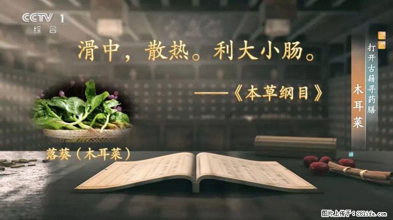 比牛奶补钙还厉害!凉血解毒、稳血糖...这菜冬天必吃,很多人却当草 - 唐山生活资讯 - 唐山28生活网 ts.28life.com