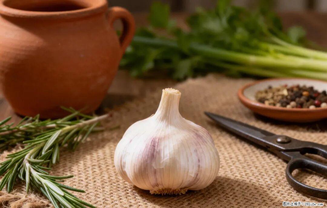 关于大蒜，除了“天然抗生素”，这4个谣言更该警惕! - 唐山生活资讯 - 唐山28生活网 ts.28life.com