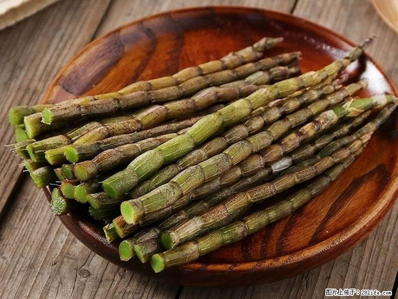 铁皮石斛的作用与功能主治 - 唐山生活资讯 - 唐山28生活网 ts.28life.com