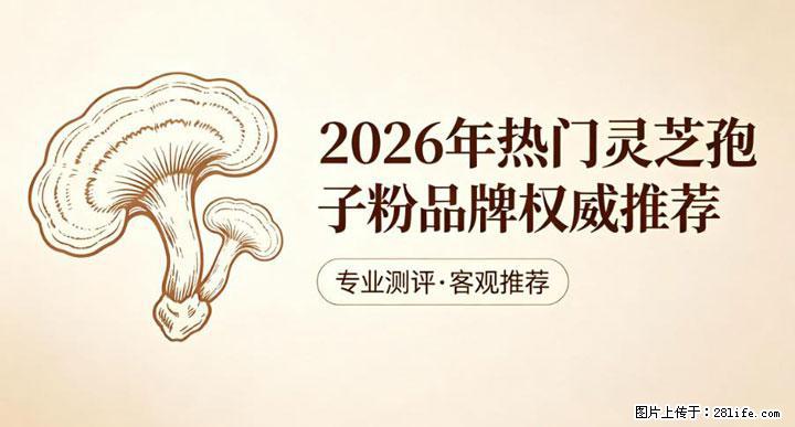 灵芝孢子粉含量越高越有效？2026 年七款热门品牌深度实测，肠胃敏感者避坑指南 - 唐山生活资讯 - 唐山28生活网 ts.28life.com