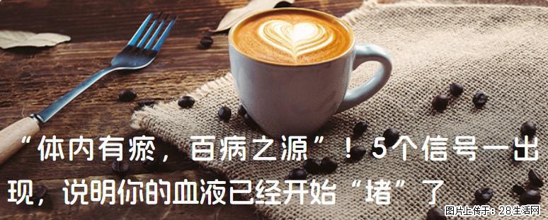 “体内有瘀，百病之源”！5个信号一出现，说明你的血液已经开始“堵”了 - 唐山生活资讯 - 唐山28生活网 ts.28life.com